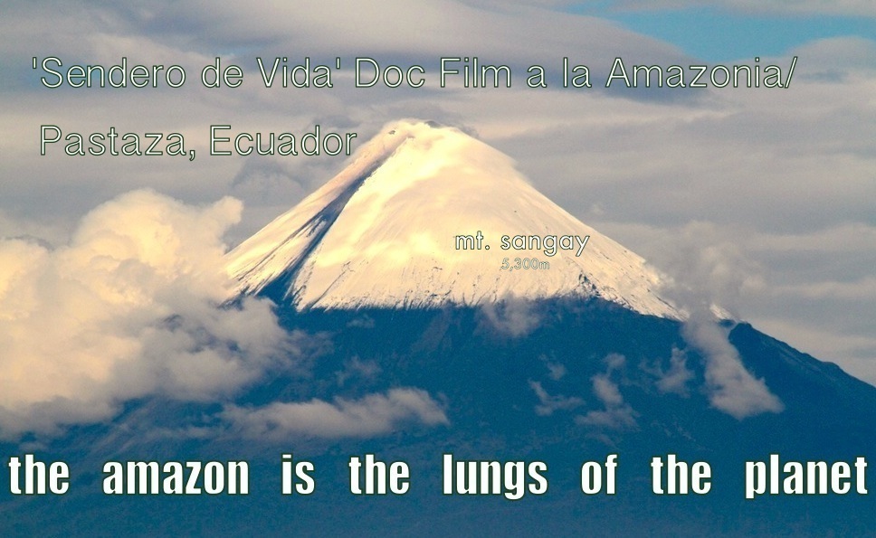 Amazon Lungs of the Planet